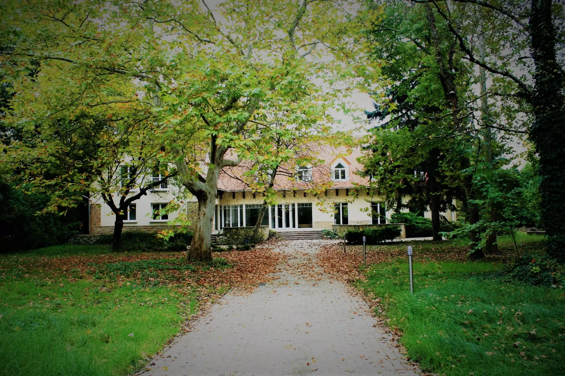 BiPi Villa - Piritós Catering